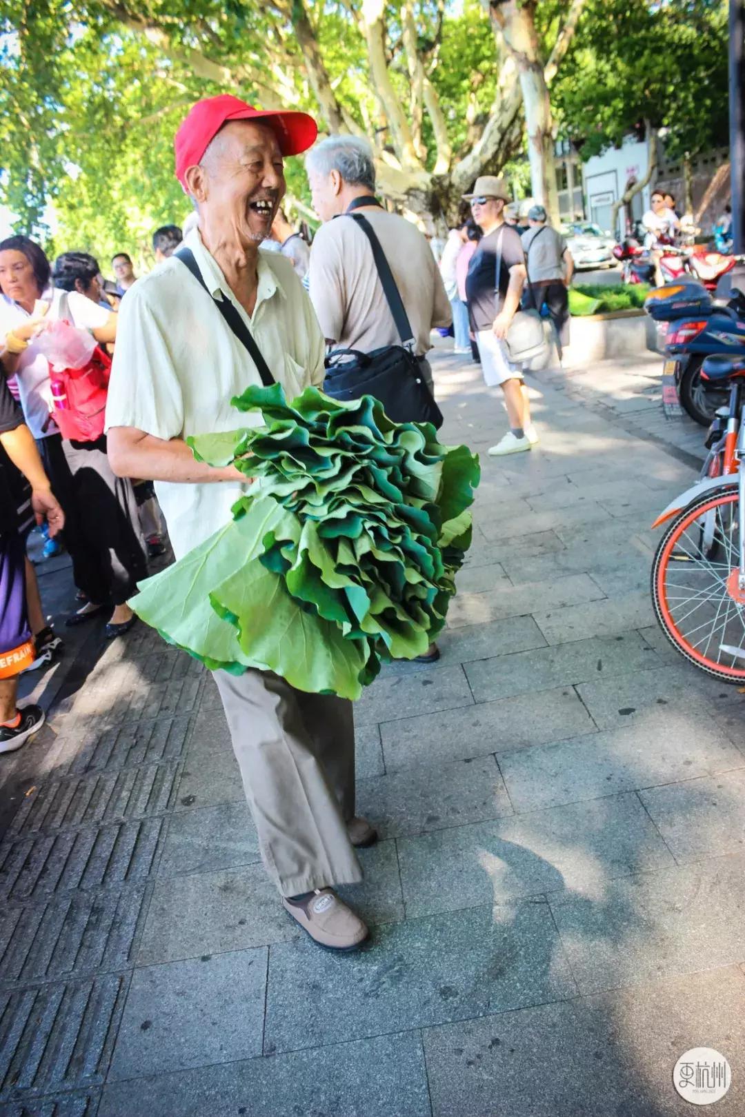 半天卖出500斤！这玩意全身是宝，一到秋天杭州人就扎堆去吃