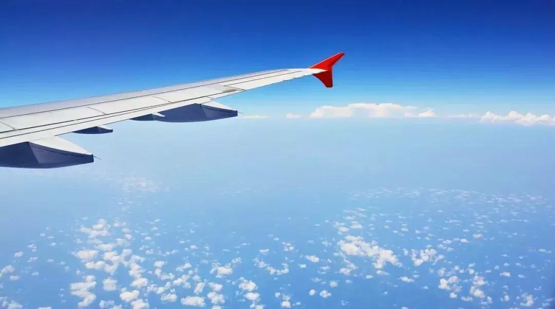 80个冷知识视频讲解大全,80个冷知识大全