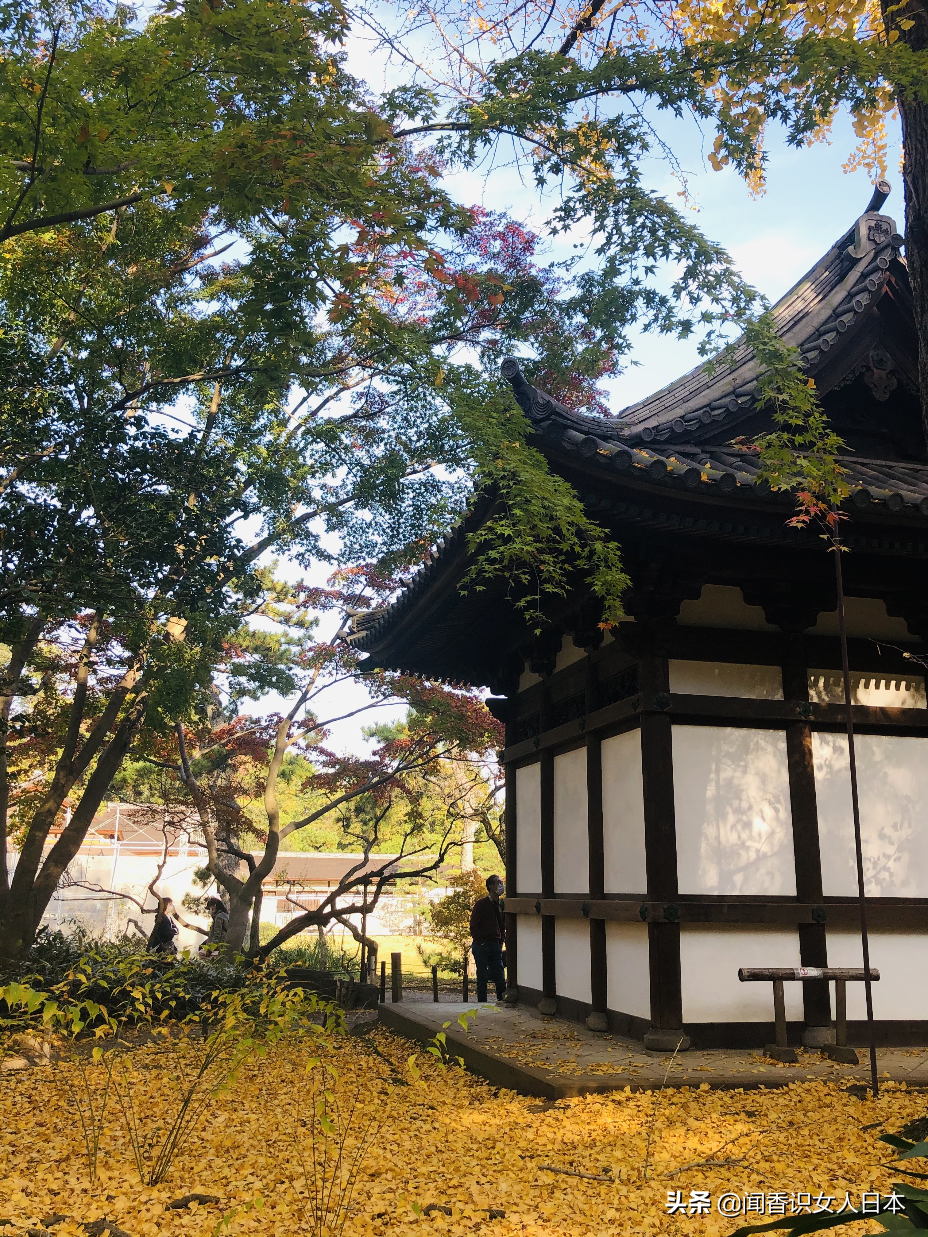 横滨三溪园,横滨三溪园介绍