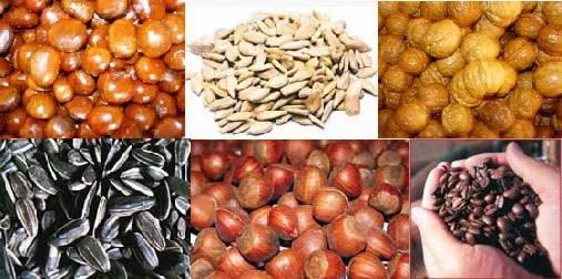 天津市今天的静海消息,天津骄傲的大静海