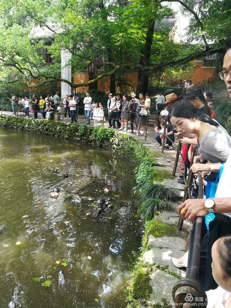 台州天台山国清寺要门票吗,天台山国清寺旅游攻略