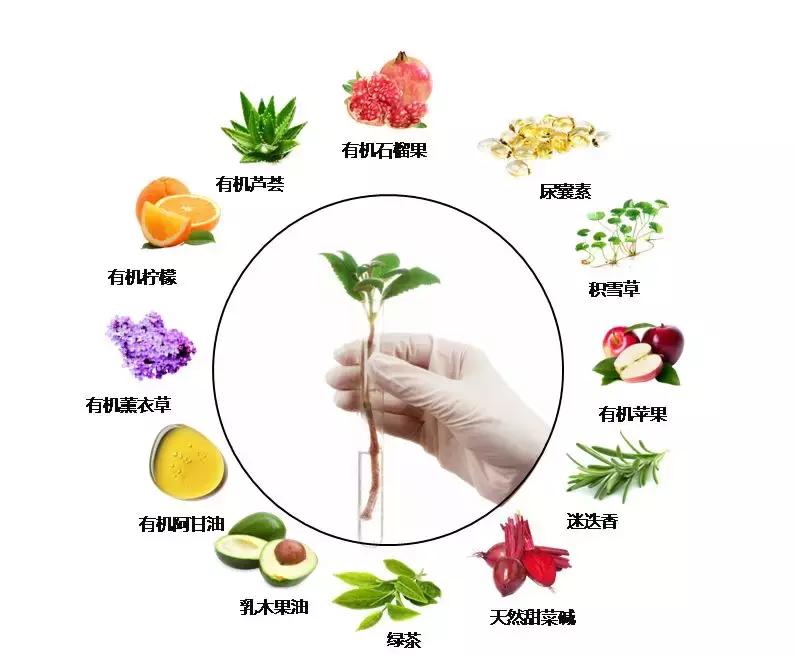 头发毛躁并且脱发推荐洗发水,用什么洗发水改善头皮脱发