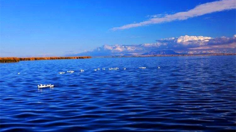 淄博到内陆自驾游,大连到山东内陆自驾游