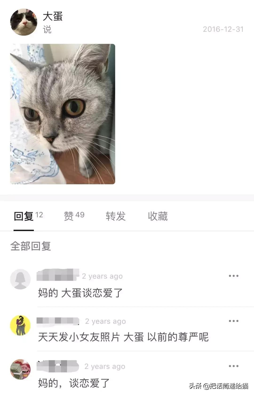 猫故事集,猫故事完整版