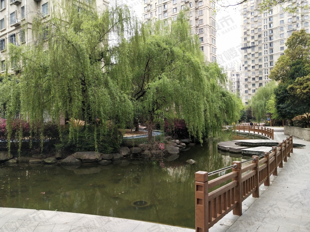 老破小逆袭,老破小重新崛起