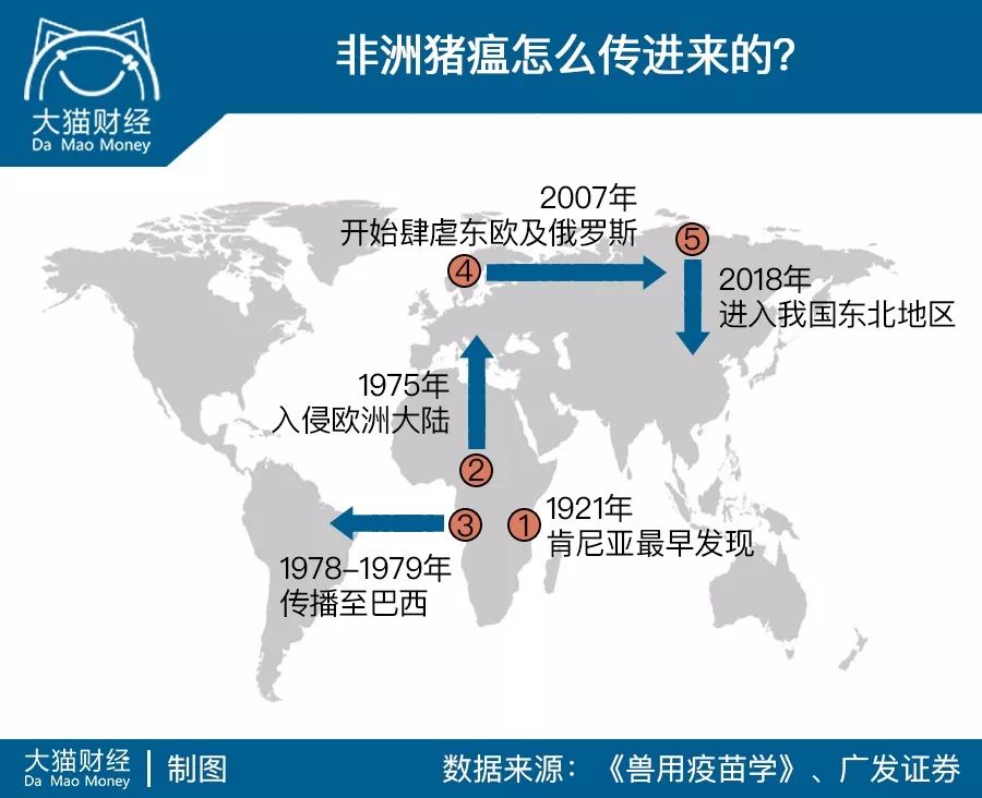 二师兄为什么疯狂？这里的猪比大熊猫都少了……