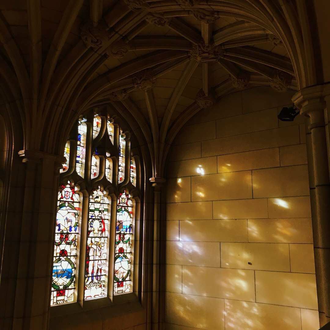 悉尼大学商业分析硕士回国就业,悉尼大学传媒专业回国就业前景