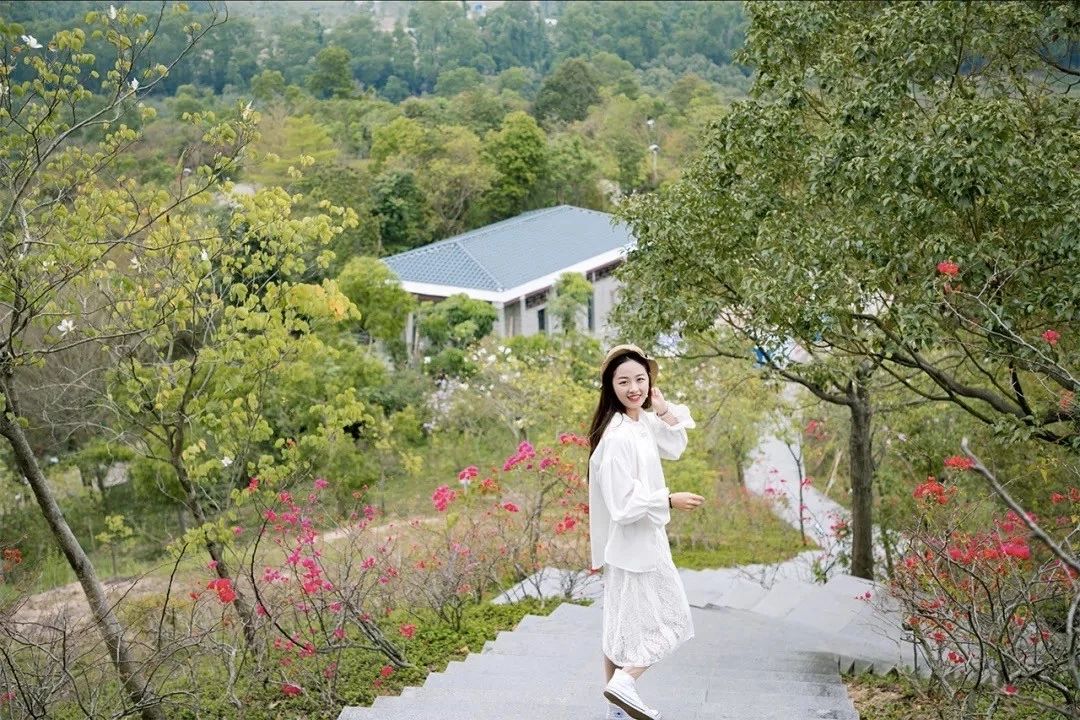 深圳最适合亲子游的好去处,深圳周末家庭游玩好去处