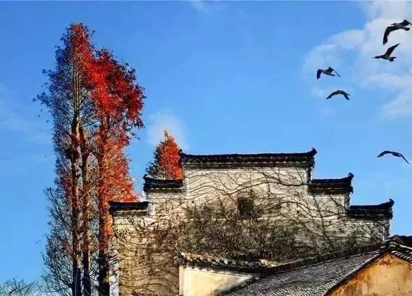 江西十大旅游秘境,春节绍兴去江西十大最美自驾路线