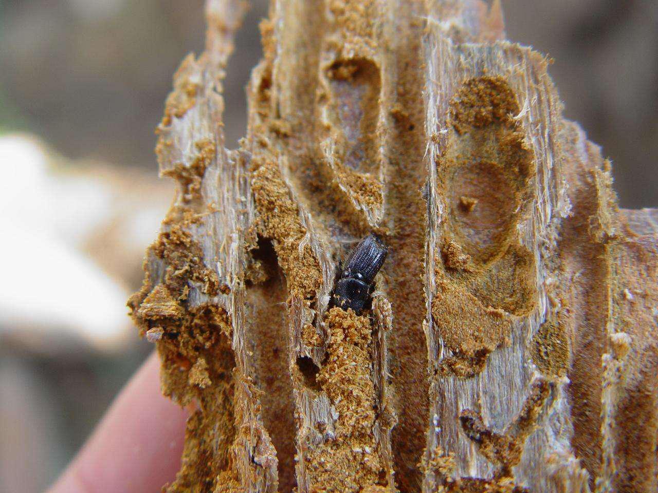 三月防护,三月预防疾病提醒