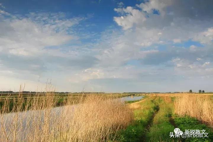 李景宽,李景宽编剧