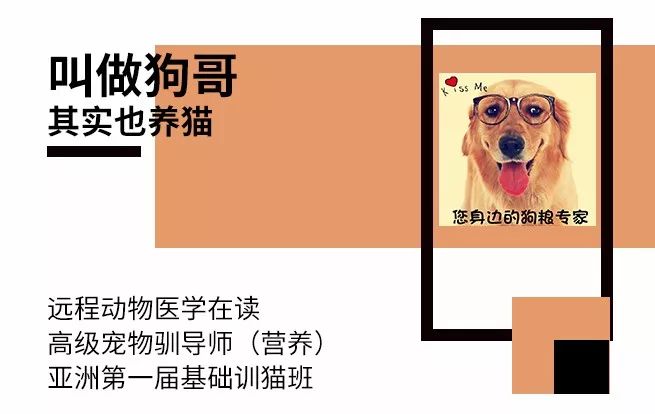 宠物亚麻籽油能代替鱼油吗,亚麻籽油猫狗能吃吗