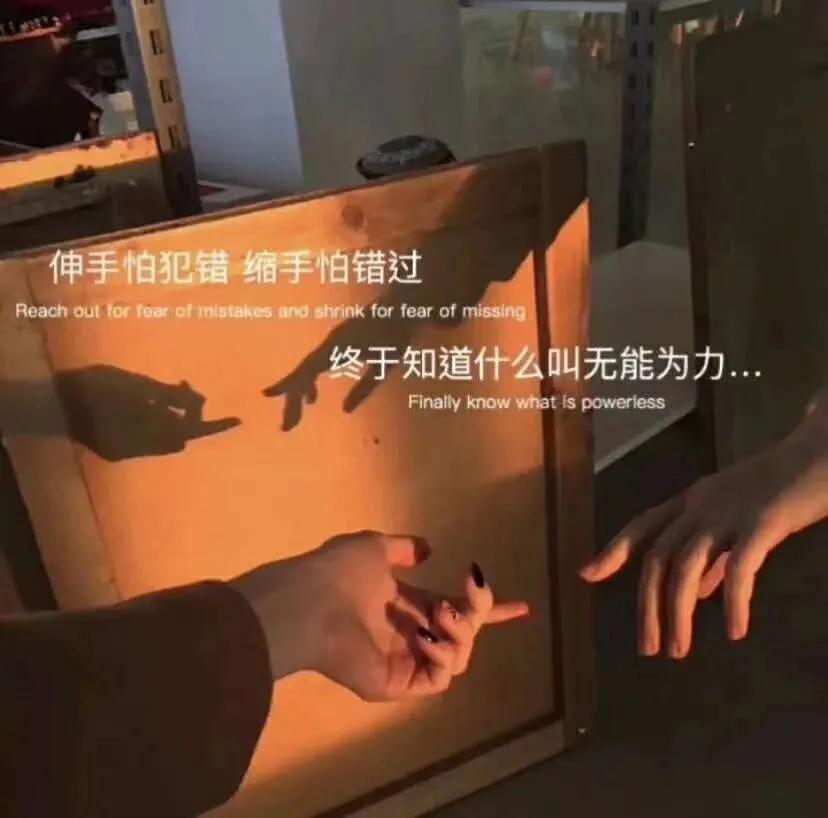 大自然治愈清新的背景图,文艺清新淡雅鲜花背景图