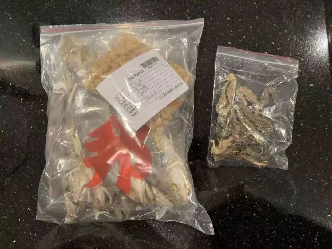 去香港有哪些要注意的事,到香港旅游一定要注意的5件事