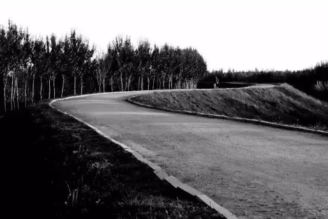 活成自己想要的模样沈北新区,你可能还不知道