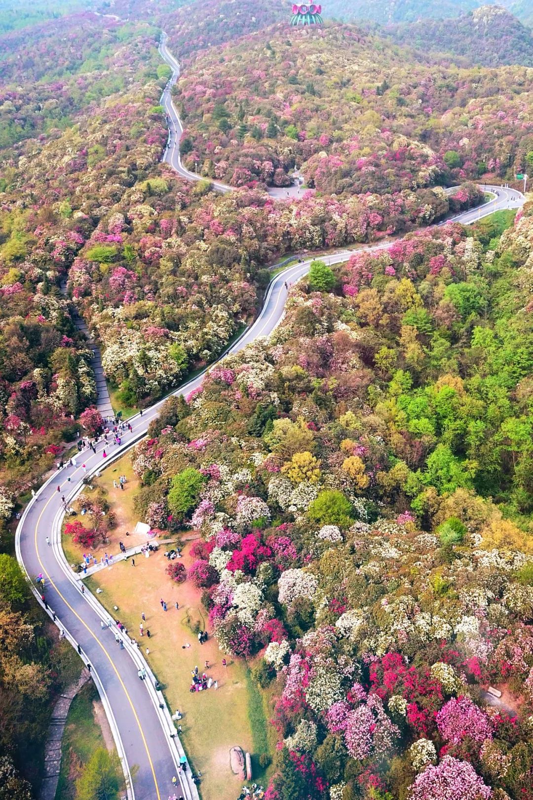 贵州有好多景点,贵州今年比较火的景点