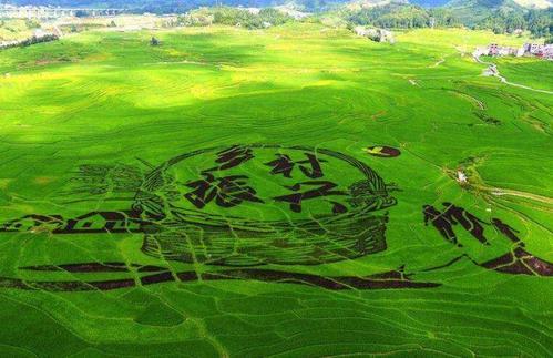 三和人才市场里人的现状,三和人才市场套路