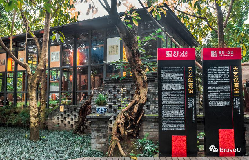 【慢游新天府，感受新成都】端午节特辑（二）|世界冠军蒋文文、蒋婷婷带你去逛川西林盘和特色小镇打卡地