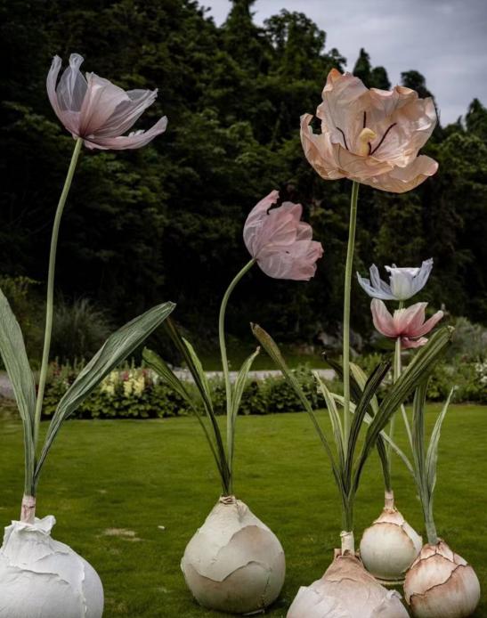 Gogogo品牌正式入驻东钱湖!宁波有望刮起短途游“野趣之风”