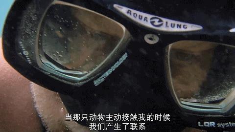 人鱼情未了在线阅读,人鱼情未了电视剧免费观看