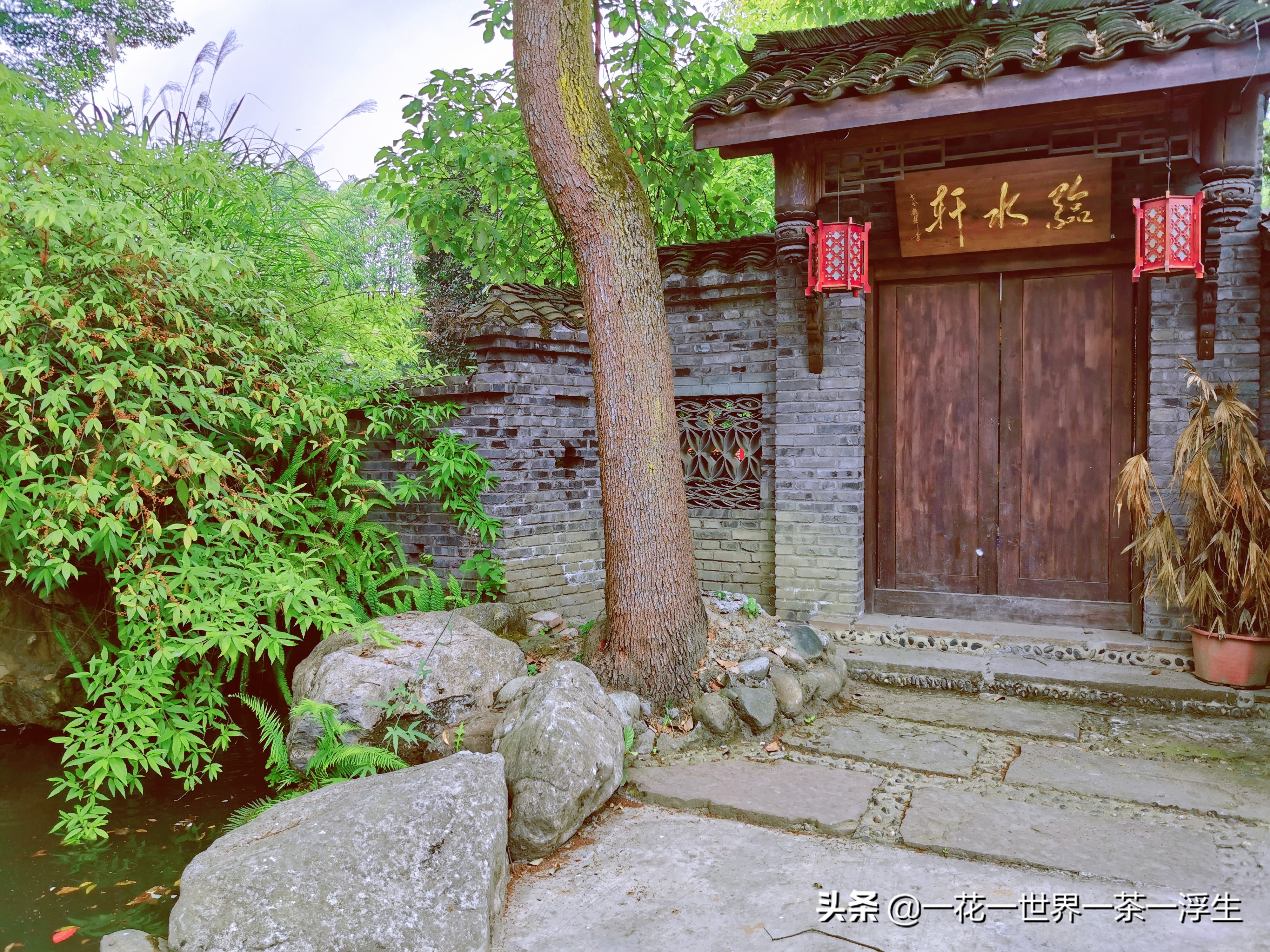 寻找巴适的成都小院(2)