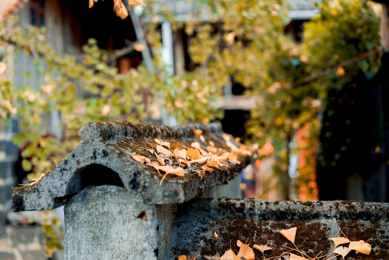 云南腾冲9月旅游攻略,云南腾冲旅游攻略秋天