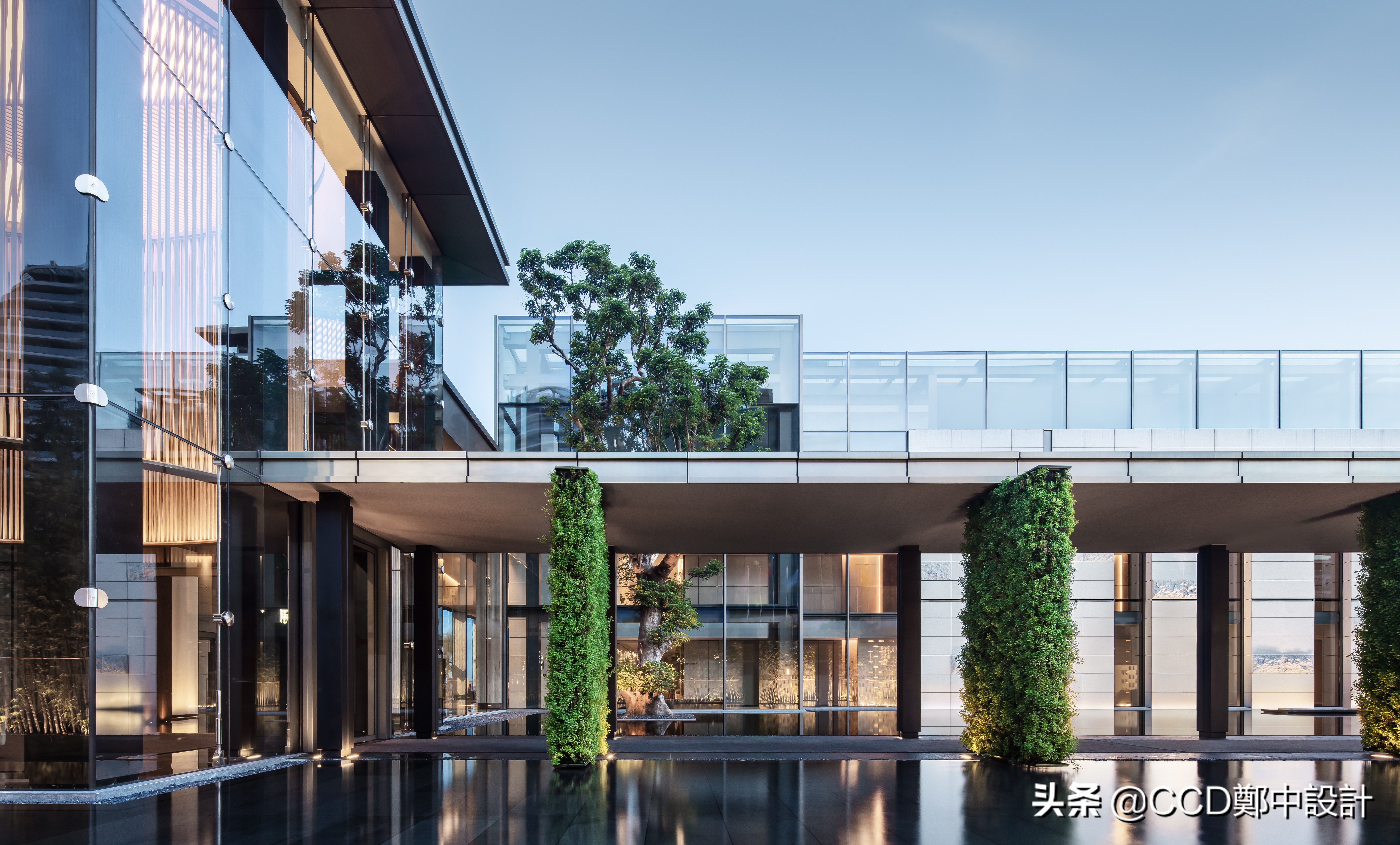 ccd最新酒店,ccd深圳最新酒店设计案例