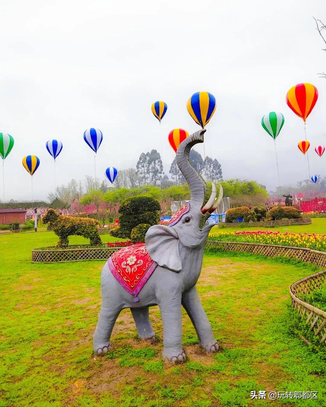 郫都区最美的花海,成都郫都花乡玫瑰开放了吗