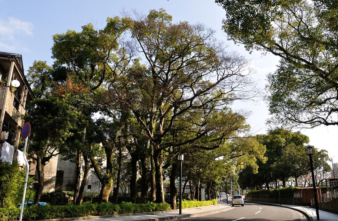 第一代陆军大将西乡隆盛,西乡隆盛为何被称为最后的武士