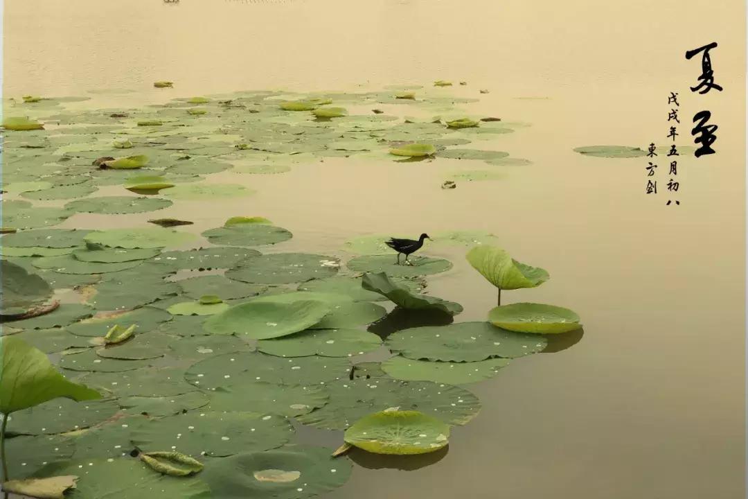 禅意水墨画拍摄技巧,摄影如何拍出水墨画