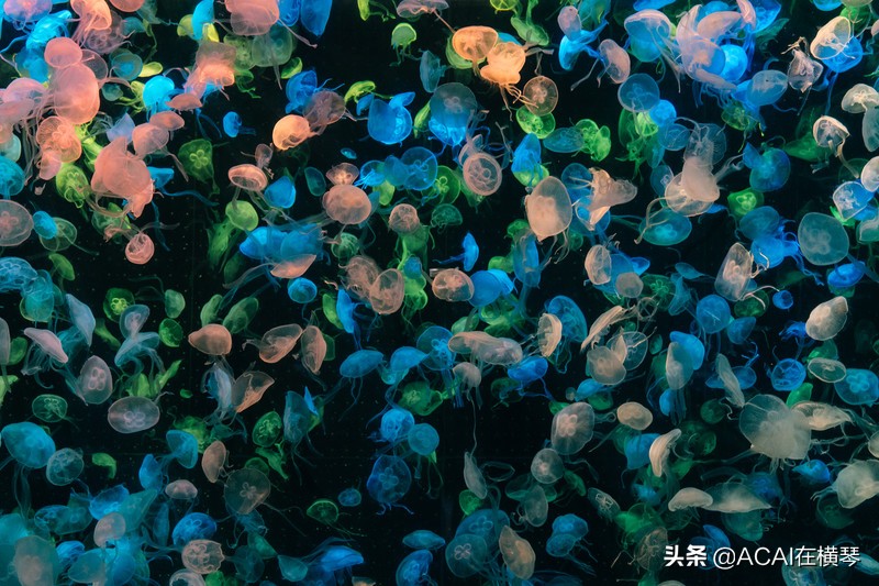 吃喝玩乐in珠海,珠海吃喝玩乐一体的地方