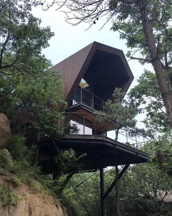 农村院子怎么防蛇进屋,庭院种什么花草防蛇