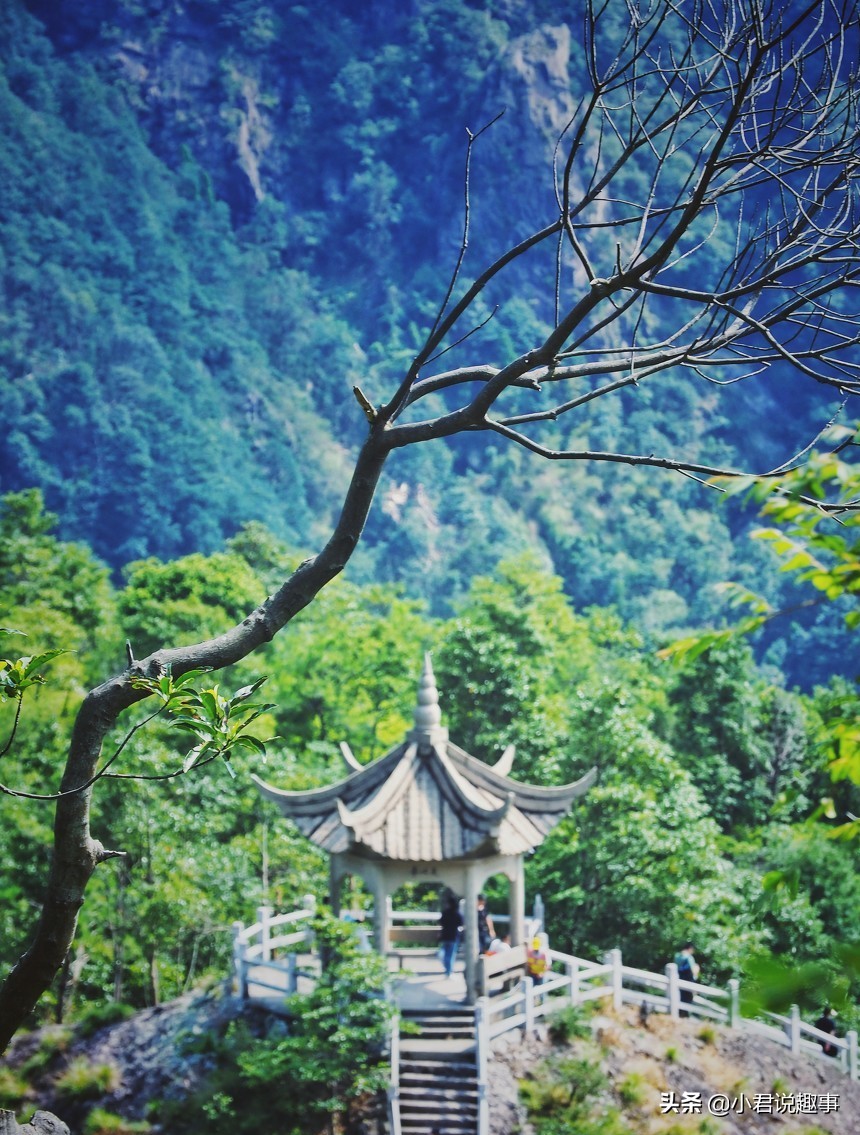 温州,除了钱和炒房团一无所有?进来认识不一样的温州