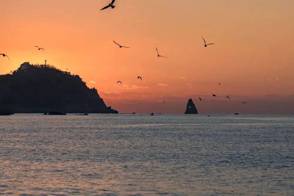 海滨老城泡桐花 (海滨老城紫色泡桐花)