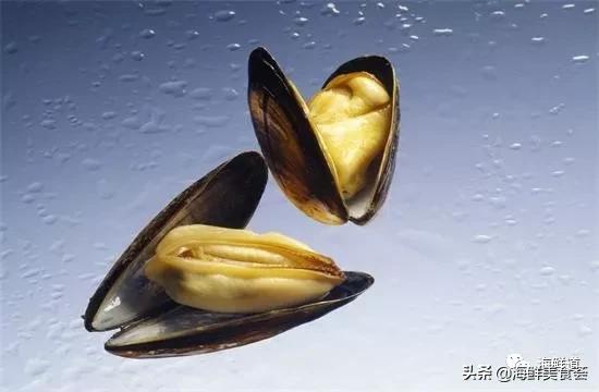 好吃不贵的海鲜种类有哪些,最好吃又最常见海鲜有几种