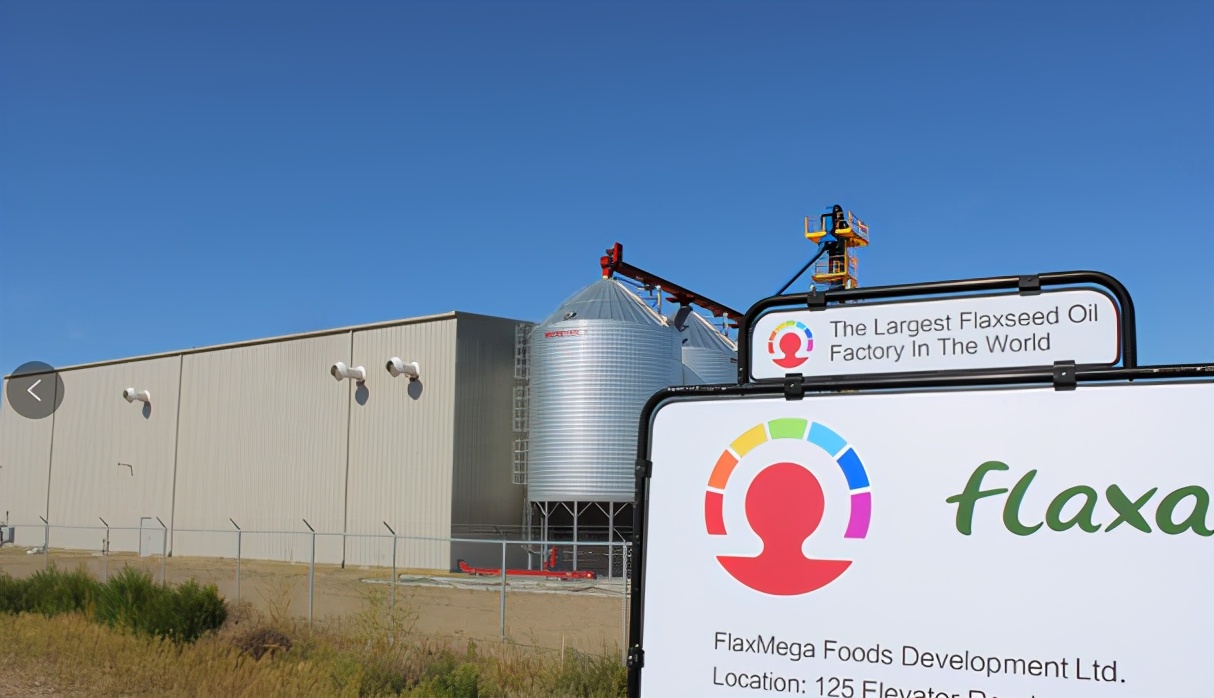 诚致亚麻籽综合开发,诚致亚麻油研发