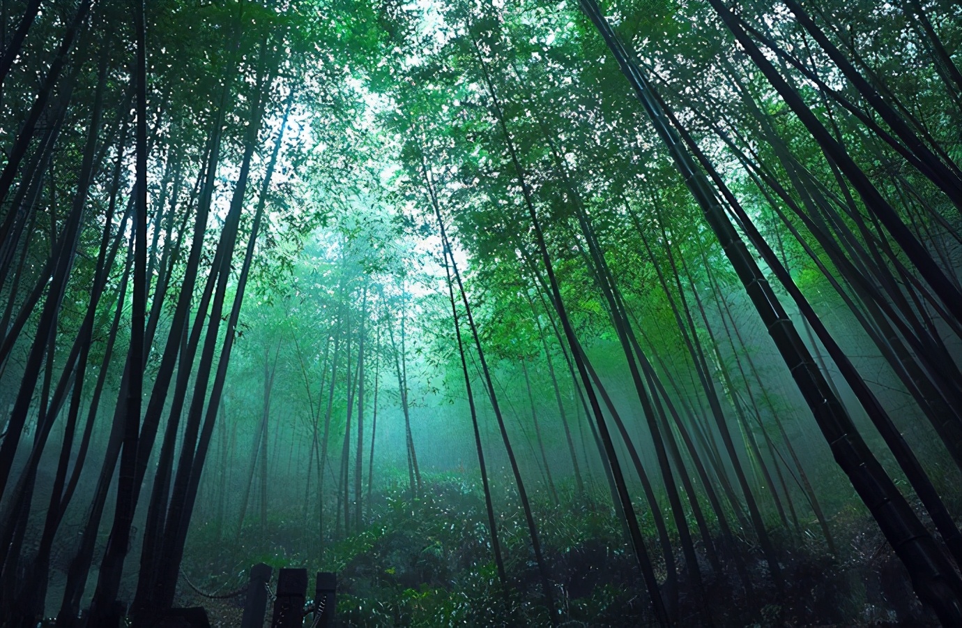 春季自驾游最美路线推荐,春季适合自驾游路线推荐