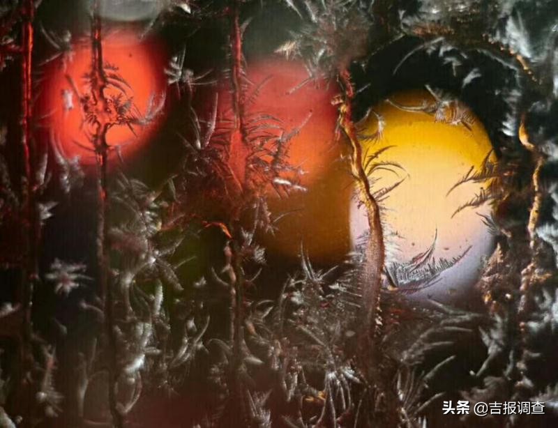 清晨玻璃窗上结满了霜花,唐古拉玻璃窗上的霜花