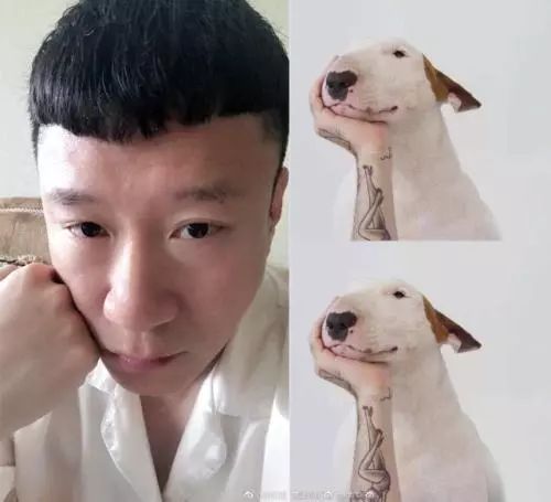 颜王像牛头梗,极限挑战颜王撞脸牛头梗哪一集