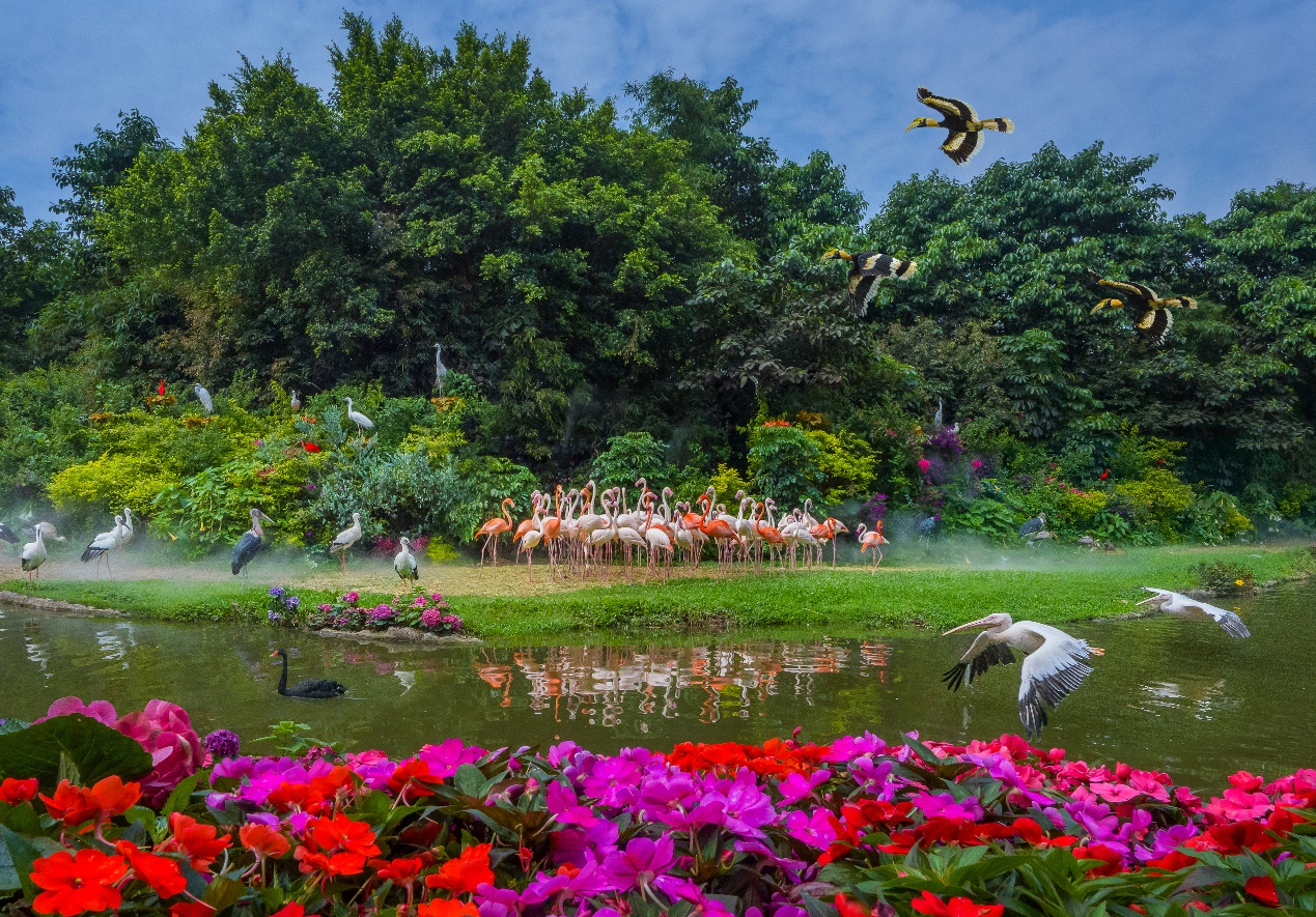 长隆母亲节,长隆动物园母亲节