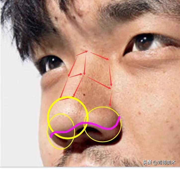 鼻子看起来很塌又不塌,鼻子看着没立体感