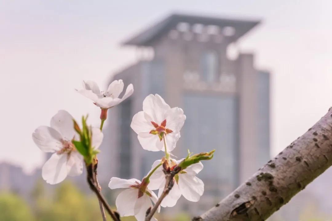 江大学子的“微信状态”大赏！这，不就是我吗？