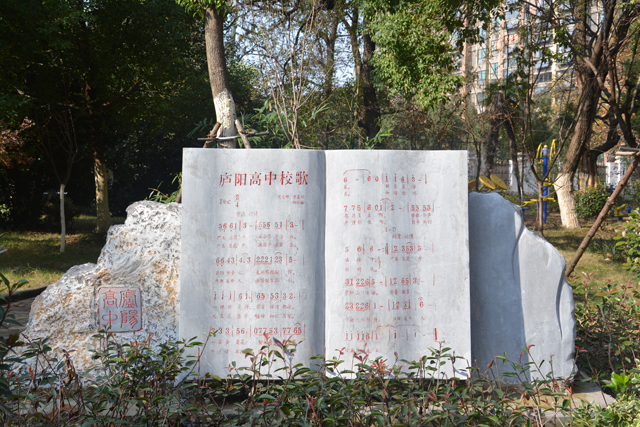 合肥省示范高中排名分数线,合肥省示范高中分数线