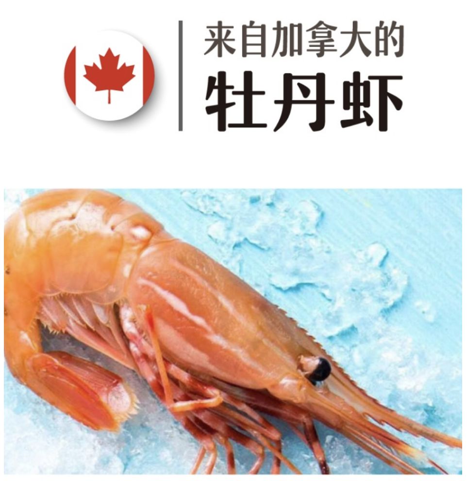 长春生鲜冷链配送,长春蔬果生鲜配送新鲜直达