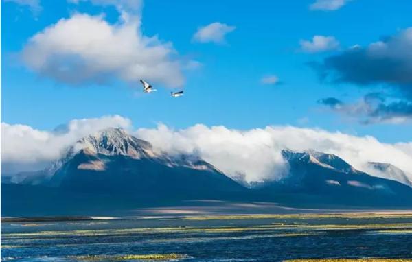 国旅欧洲旅游怎么样,国旅去大西北旅游攻略