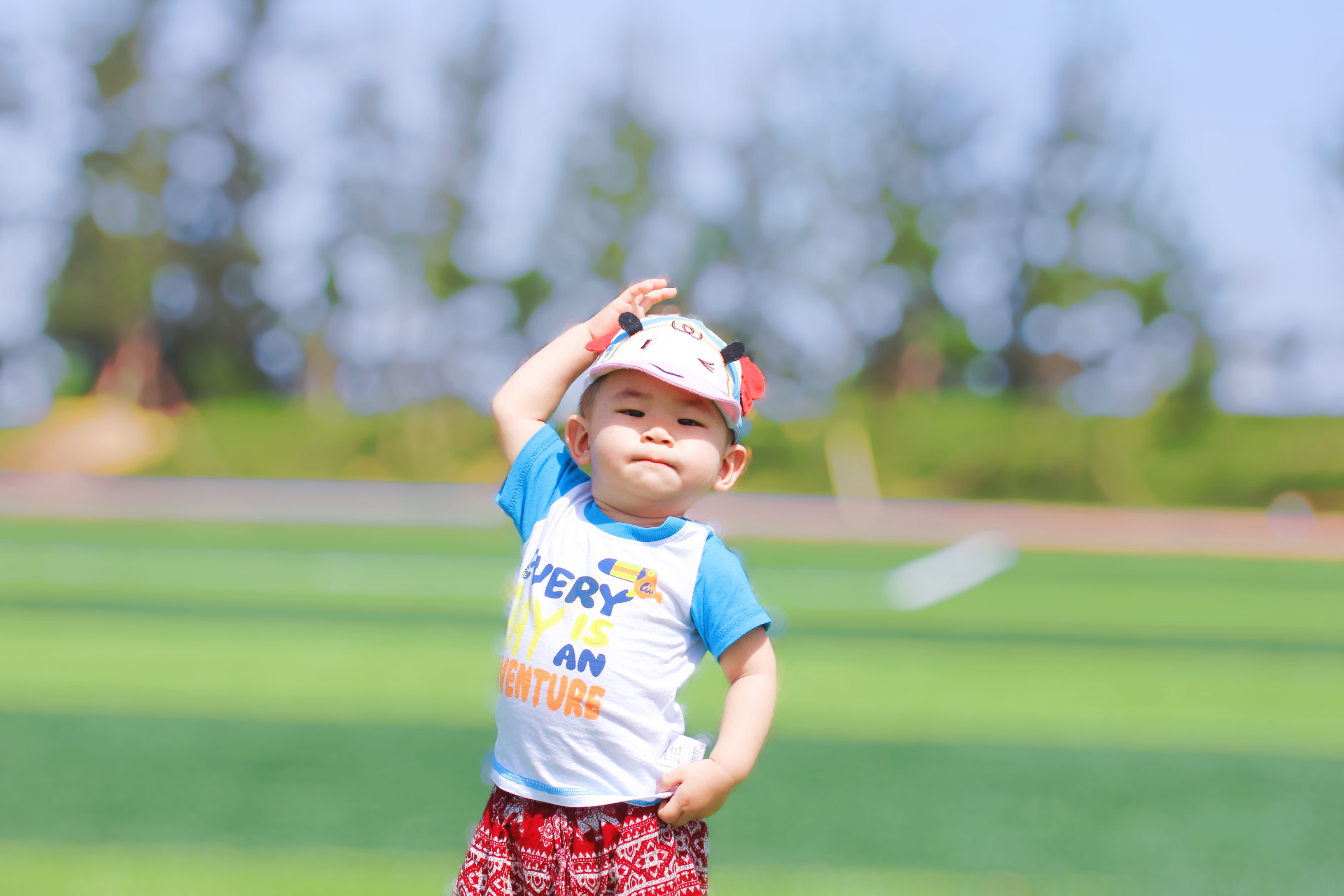 北京有哪些公园有足球场,北京超大绝美花海在哪儿