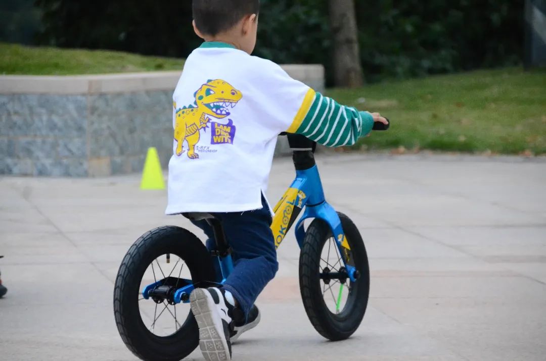 儿童平衡车都有什么样子,儿童平衡车不同轮毂的区别