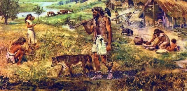 狗狗可能只是你生命中的一部分,狗狗被驯化的过程