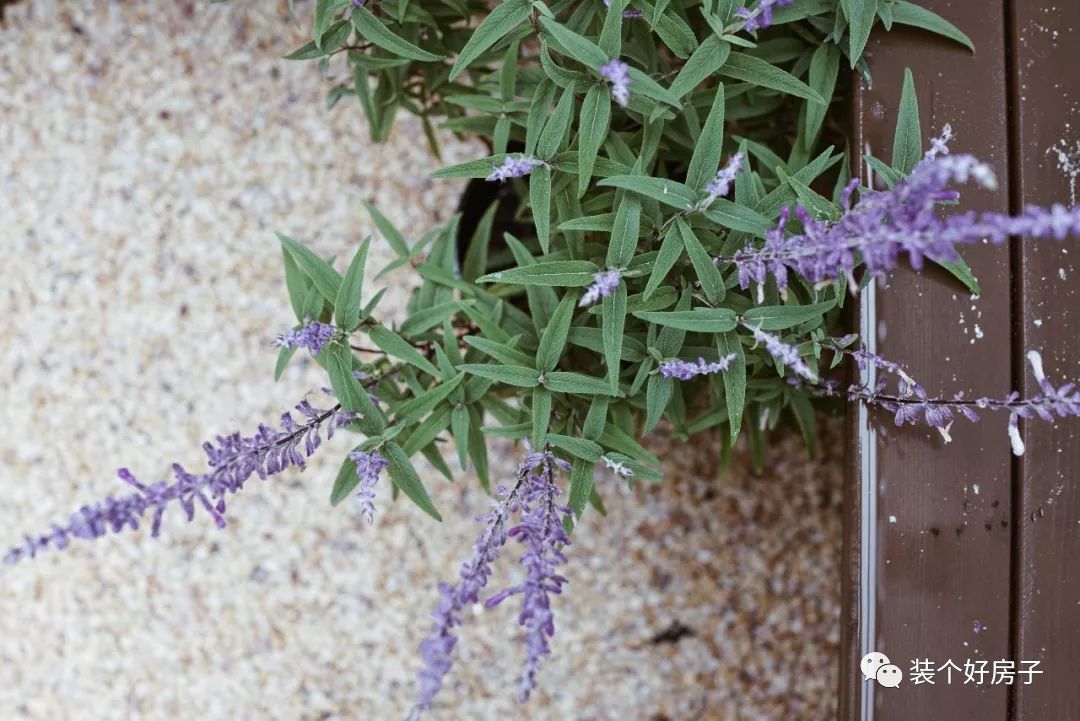 小别墅100万左右带学区,学区的别墅200w