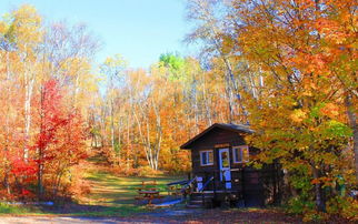 留学生入境加拿大可以带几件行李,你的行李
